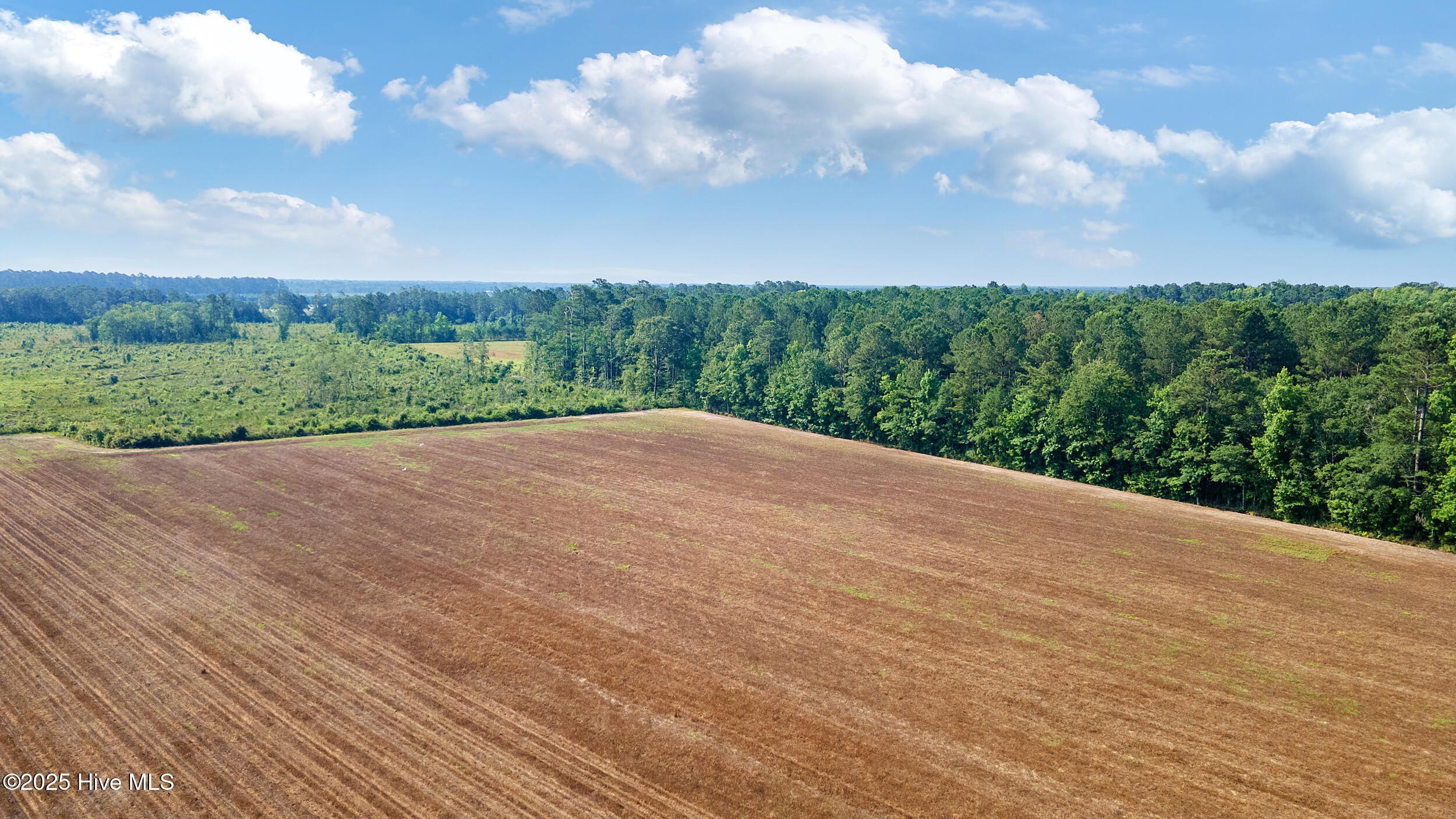 Versatile Land with Lush Surroundings