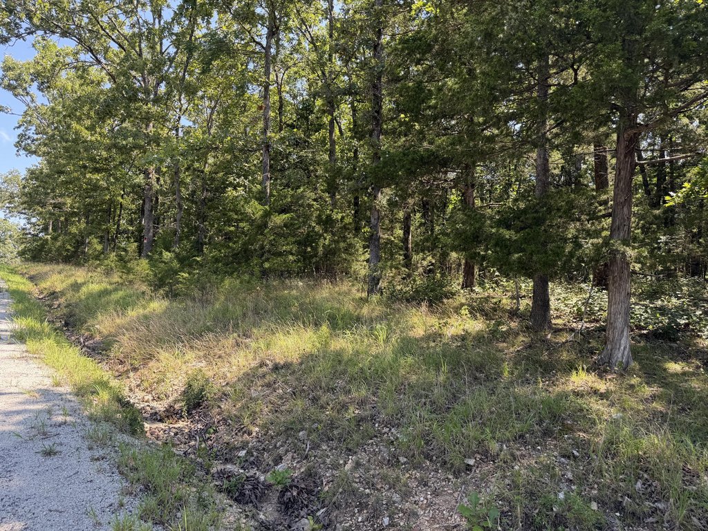 Picture 20