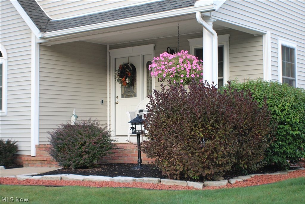 Picture 6