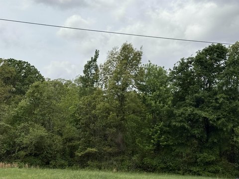 Residential Land in Dyer, TN