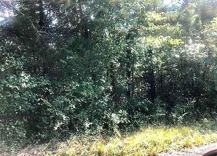 Cherokee Village Wooded Lot