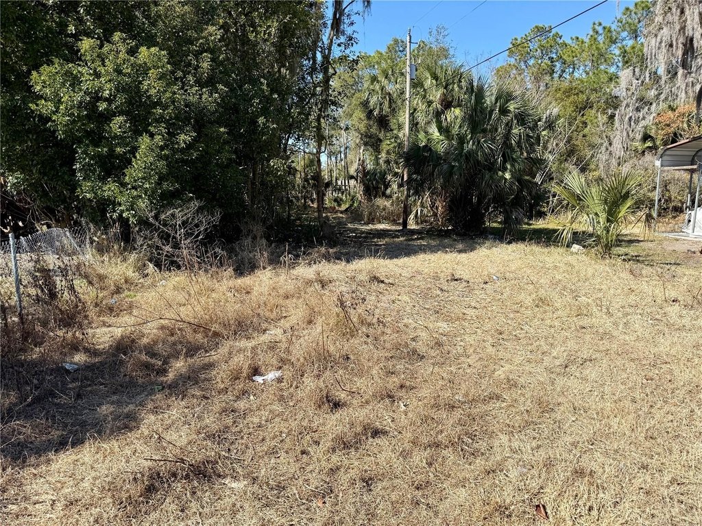 Picture 2