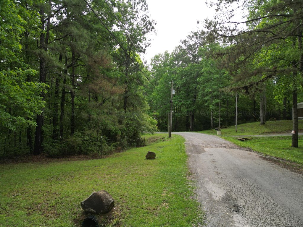 Picture 14