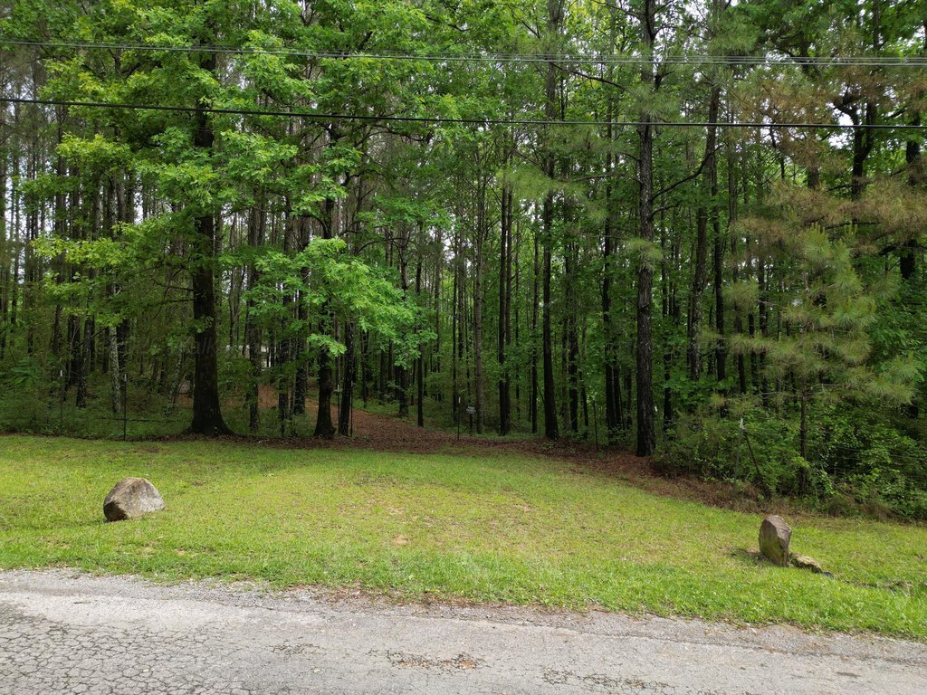 Picture 15