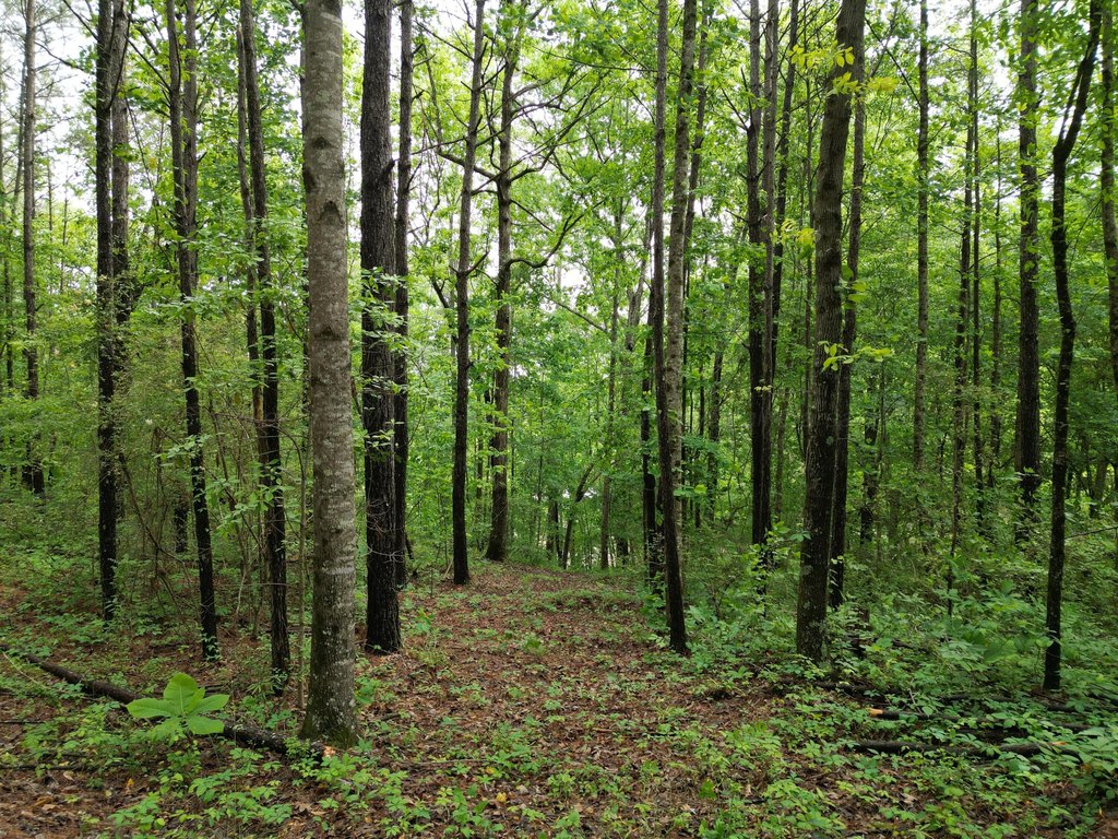 Picture 16