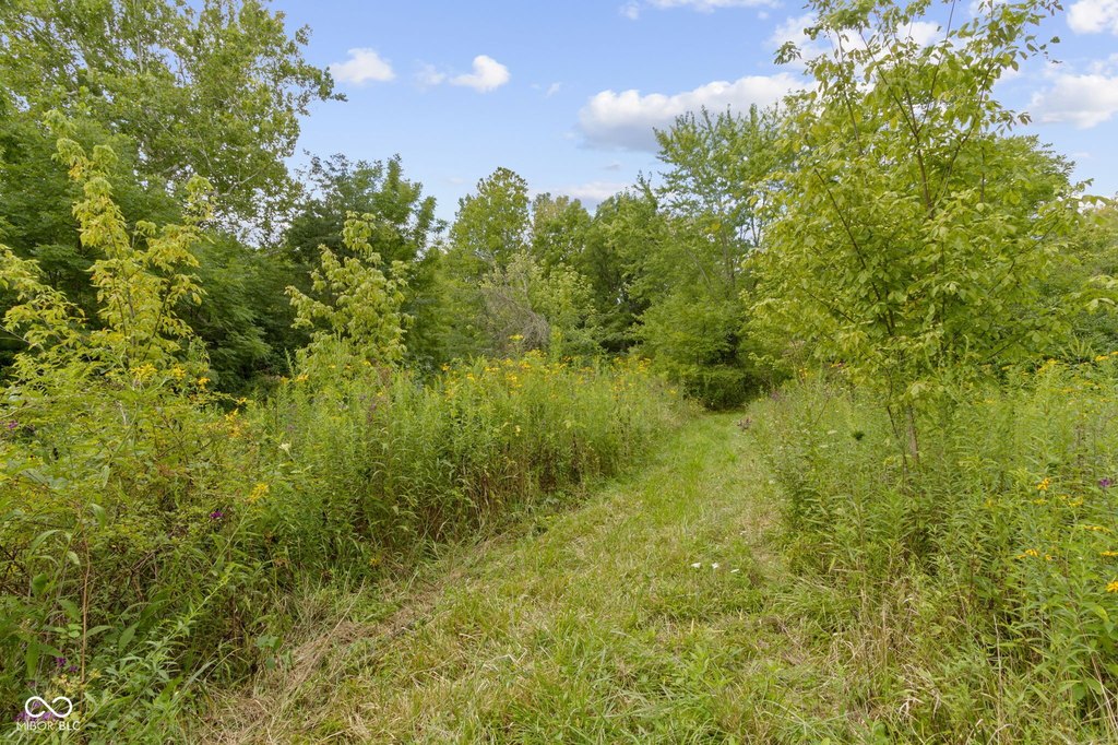 Picture 8