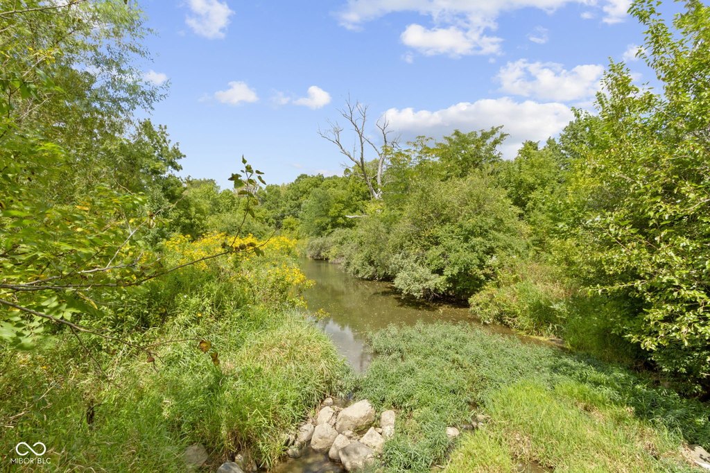 Picture 7
