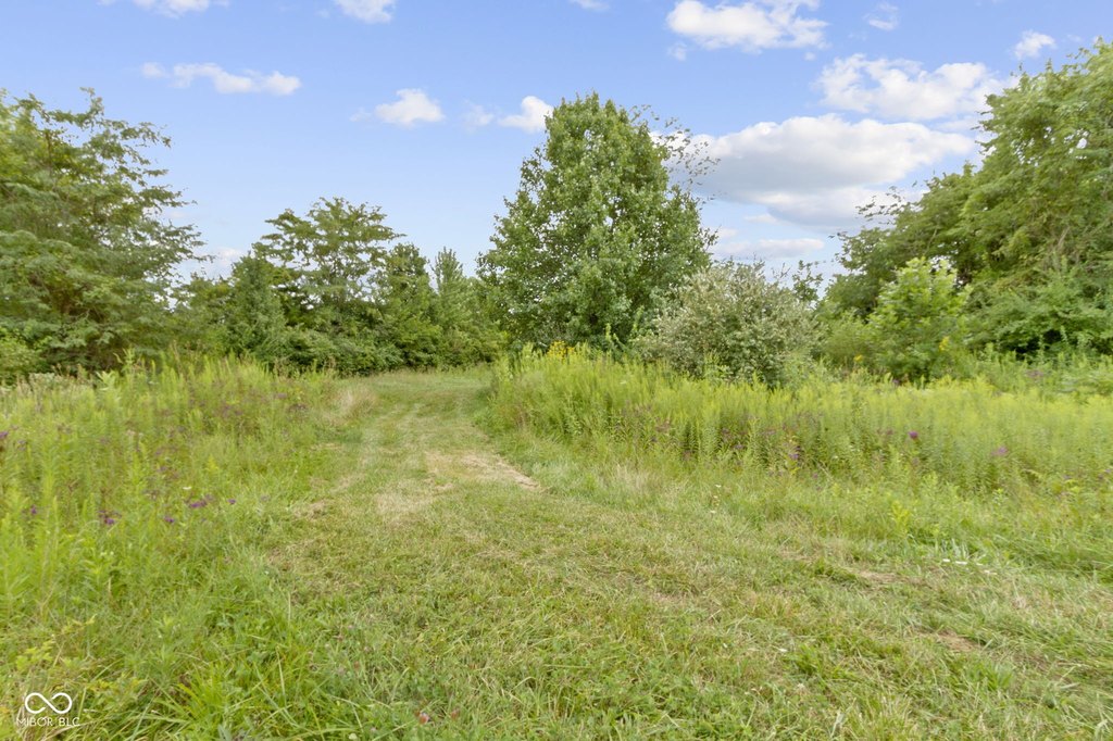 Picture 20