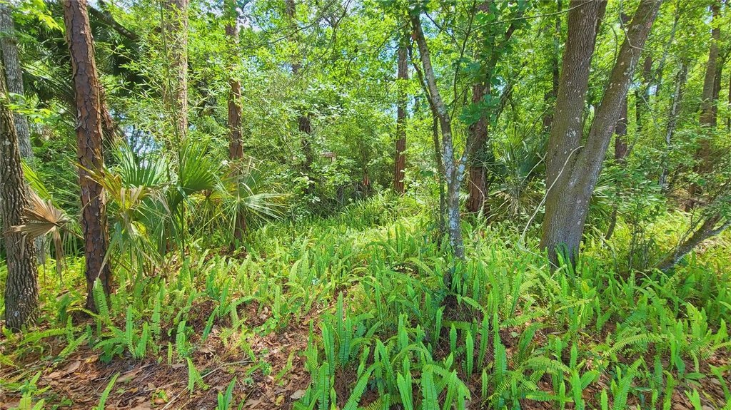 Picture 30