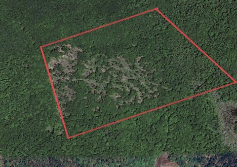 23 Acres of Maine Wilderness