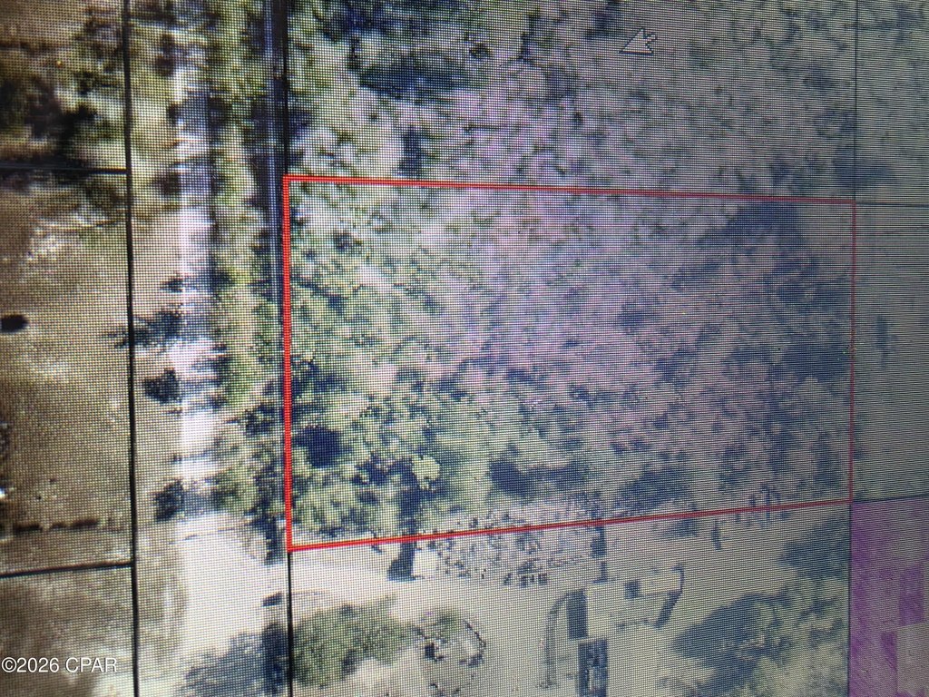 Picture 3
