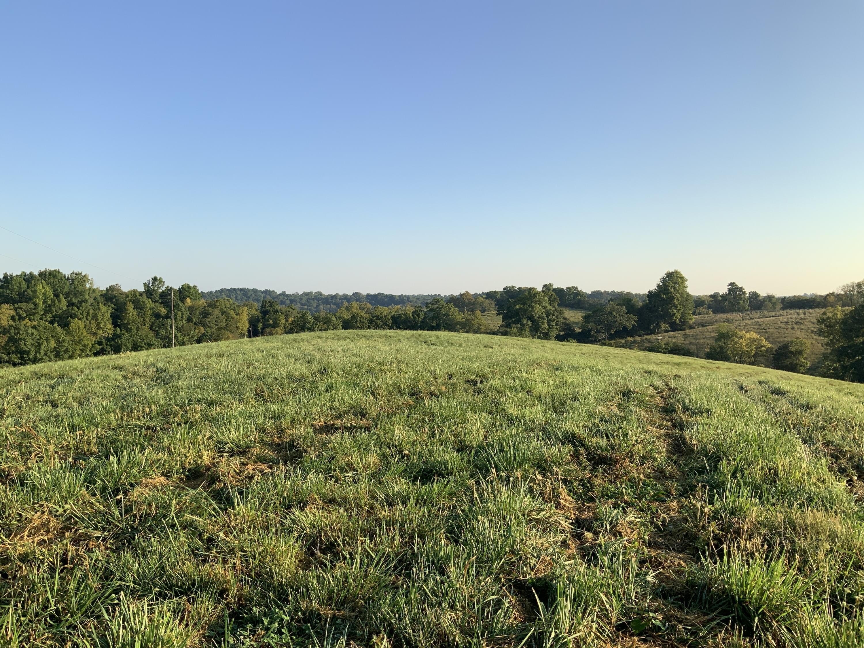 Residential Land in Lawrenceburg, KY