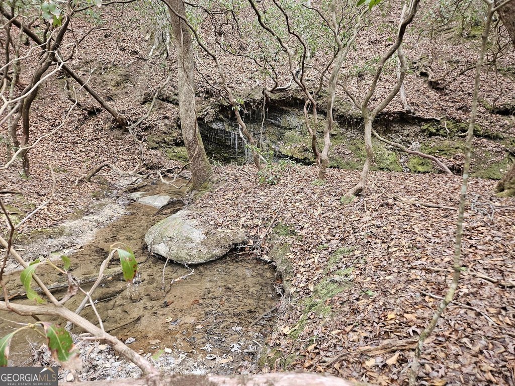 Picture 18