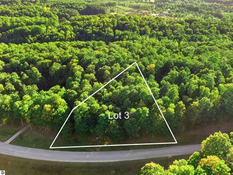 Wooded 1.6 Acre Vacant Lot