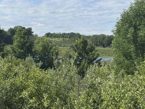 LAND - Gladwin, MI