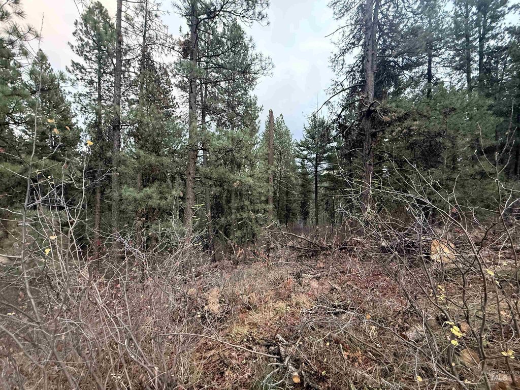 Picture 6