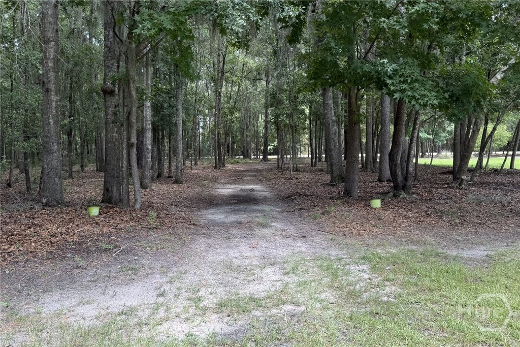 Picture 23