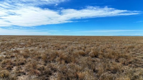 CRP-Enrolled Hunting Land Parcel