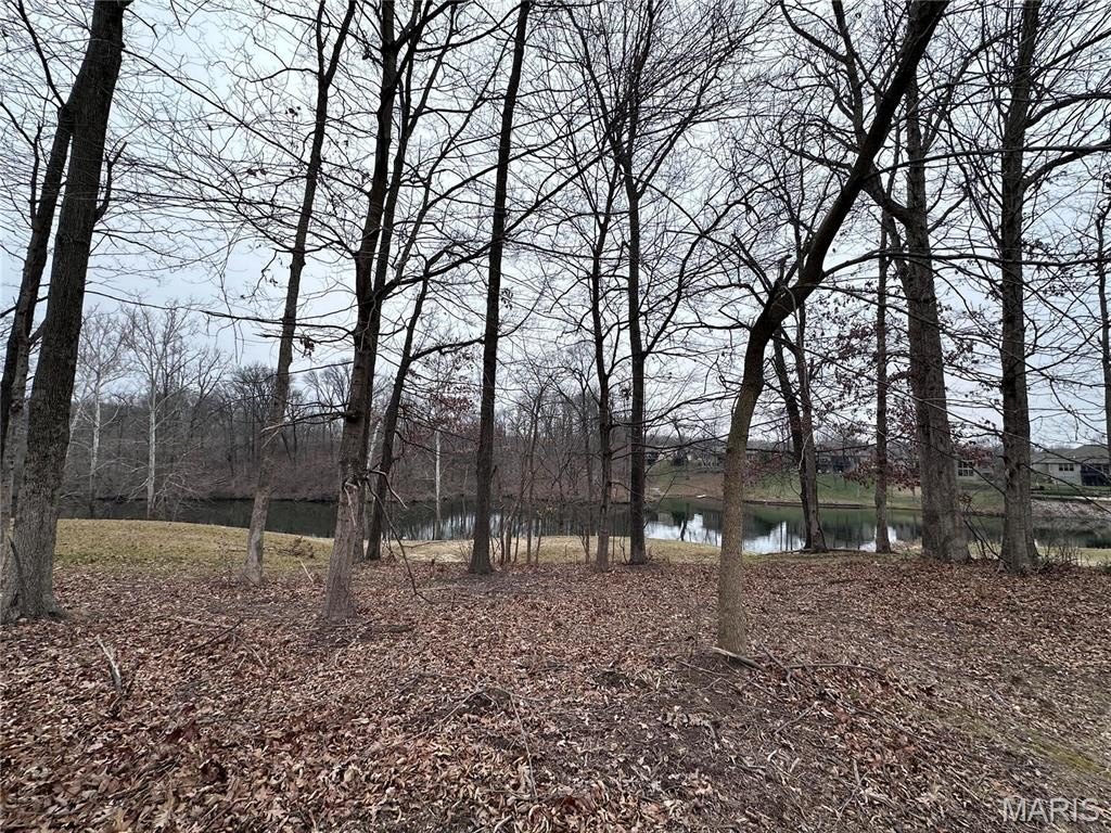 Picture 7