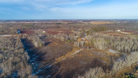 Grand Junction Blueberry Farm Land