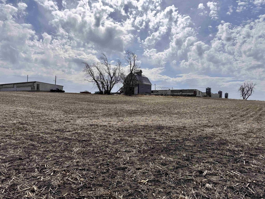 Picture 28