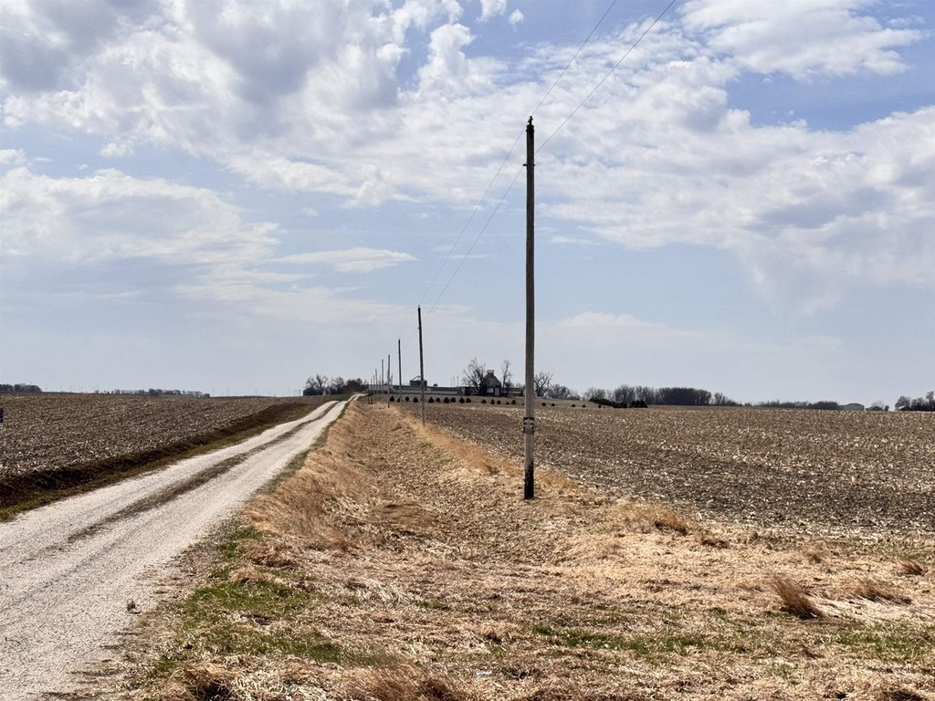 Picture 39