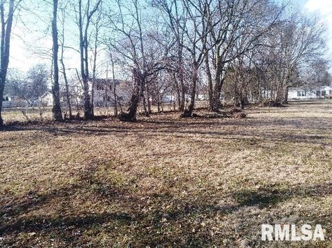 Residential Land in Girard, IL
