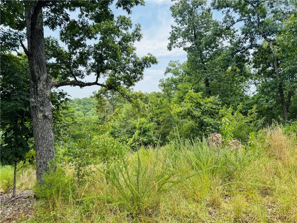 Picture 4