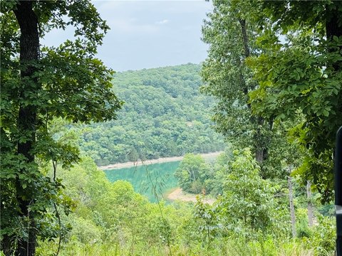 Land, Eureka Springs, AR