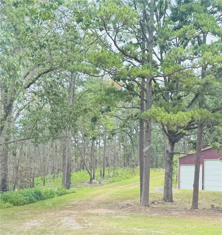 Picture 16