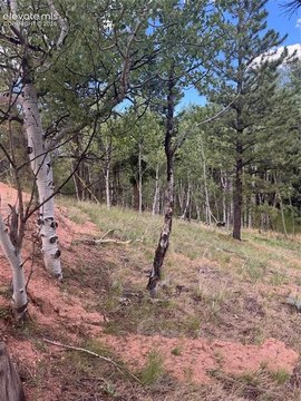 Land, Woodland Park, CO