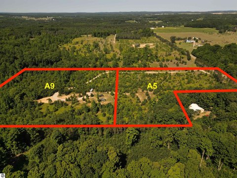Vacant Lot/Land, Maple City, MI