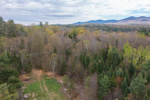 Residential Land in Forest Hills