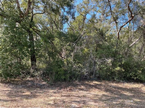 Land, Citrus Springs, FL