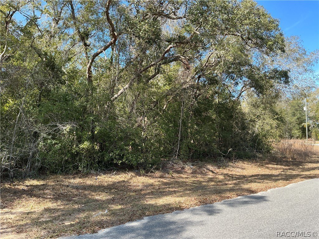 Picture 3