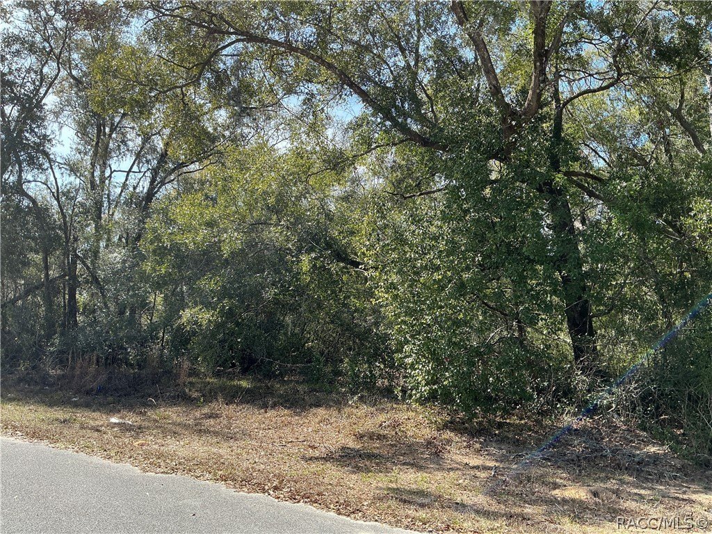 Picture 2