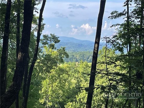 Land, Lansing, NC