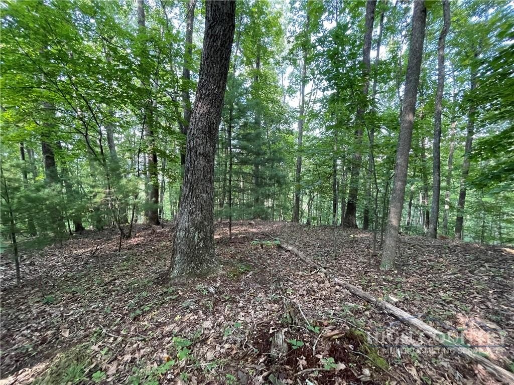 Picture 18
