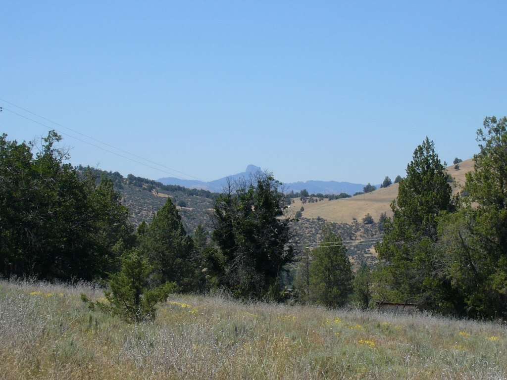 Picture 7