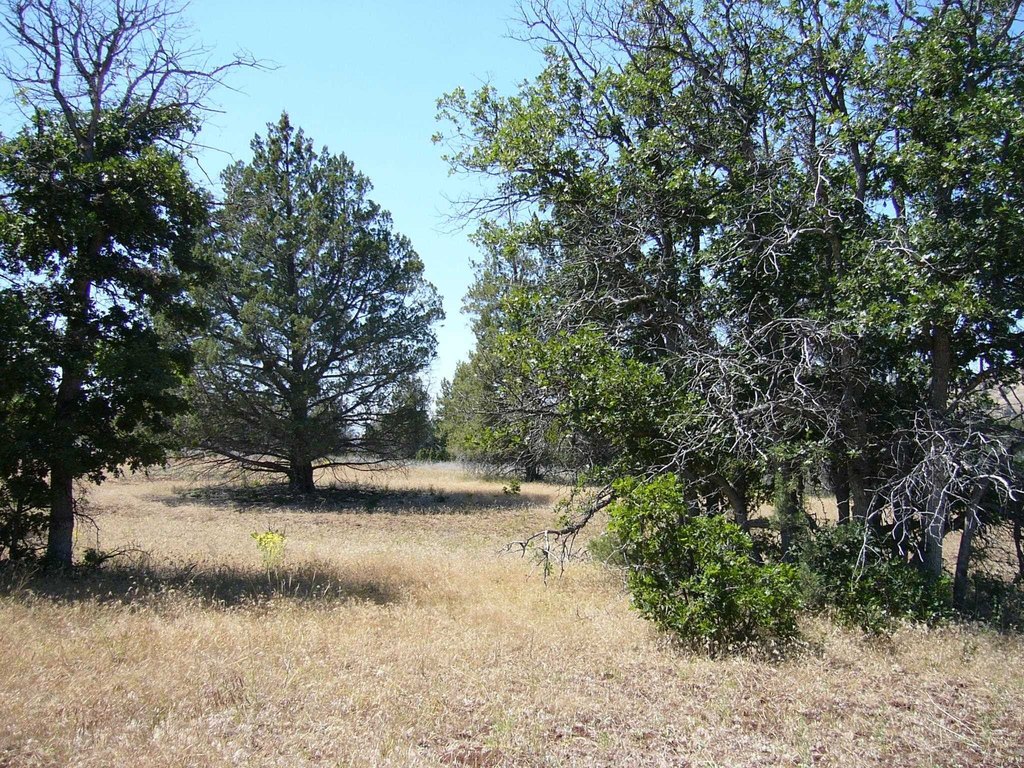 Picture 11