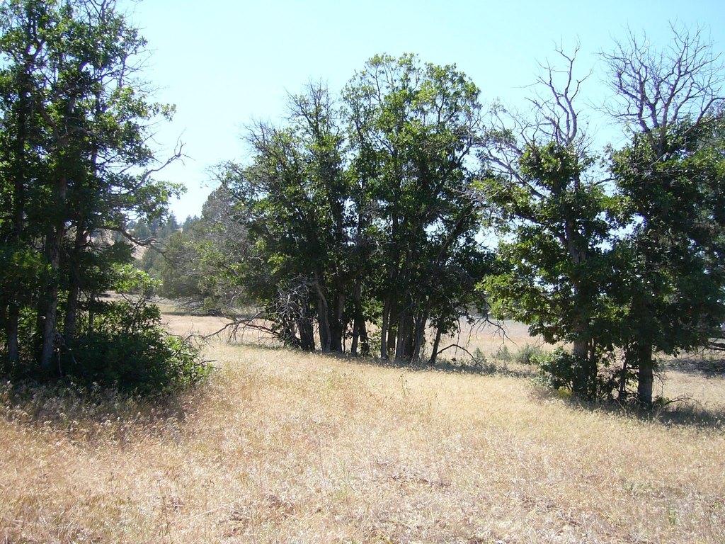 Picture 10