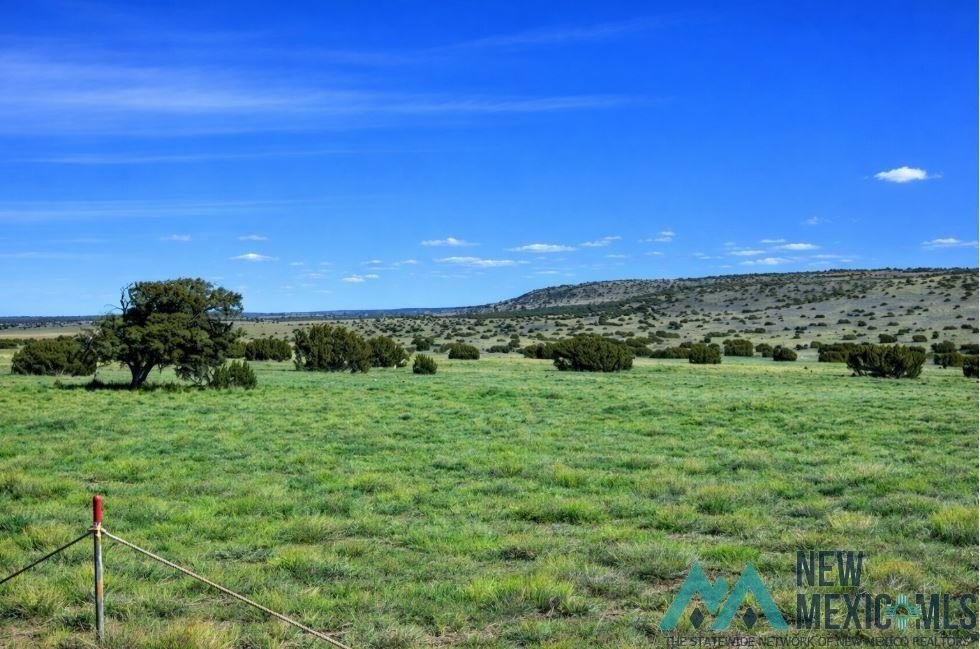Land in Cimarron Retreat