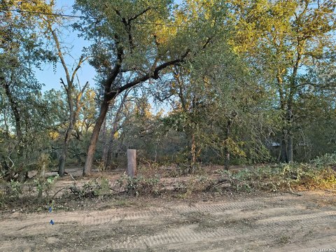 LAND - Elmendorf, TX