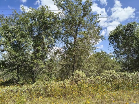 LAND - Elmendorf, TX