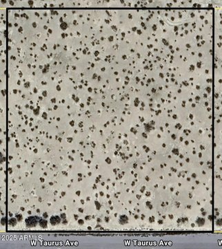 Land with Mountain Views