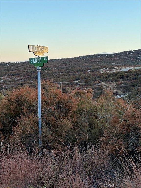 Picture 3
