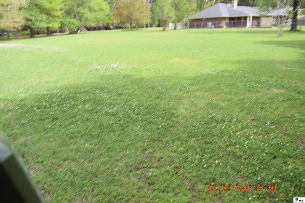 Picture 3