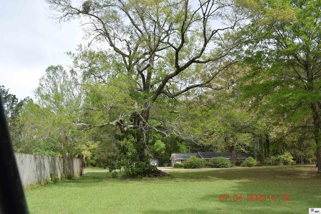 Picture 8