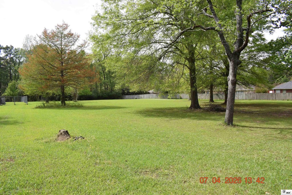 Picture 12