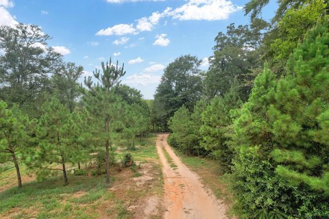 Partially Fenced Acreage with Creeks